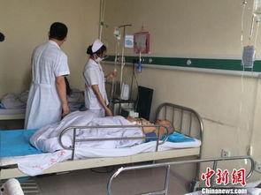 沈阳养老院爆料案件最新,揭开养老机构背后的惊人真相 第1张 沈阳养老院爆料案件最新,揭开养老机构背后的惊人真相 第1张