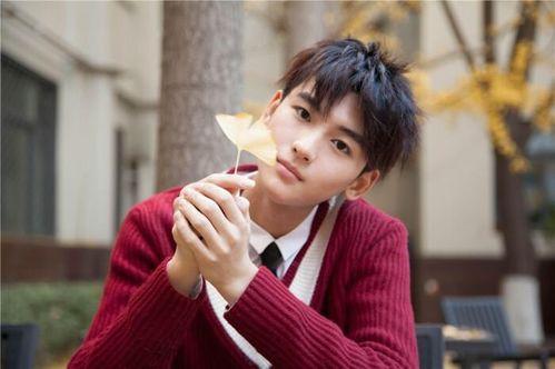 夏之光黄俊捷圈内人爆料,真实事件背后的惊人内幕 第3张 夏之光黄俊捷圈内人爆料,真实事件背后的惊人内幕 第3张